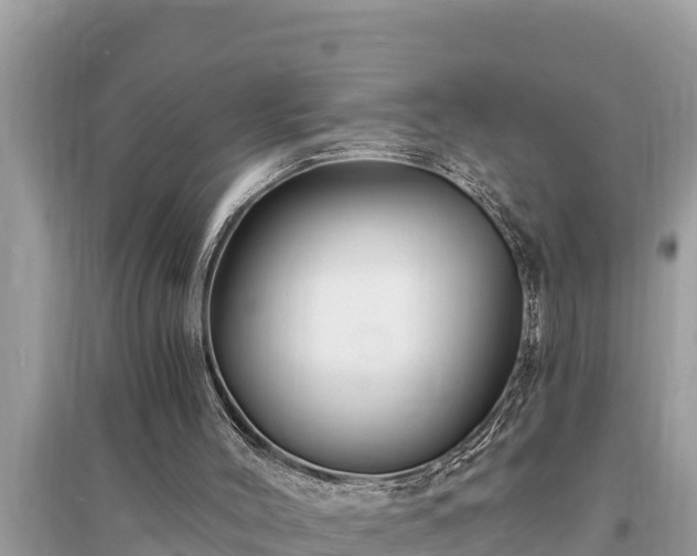 X0000095550004200712211420