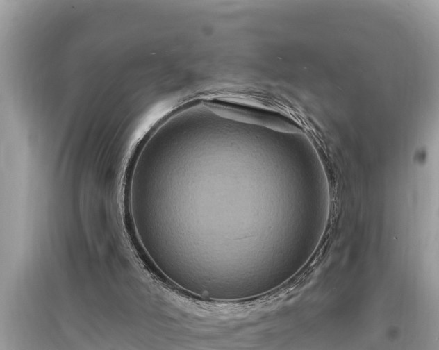 X0000095550006200712211420