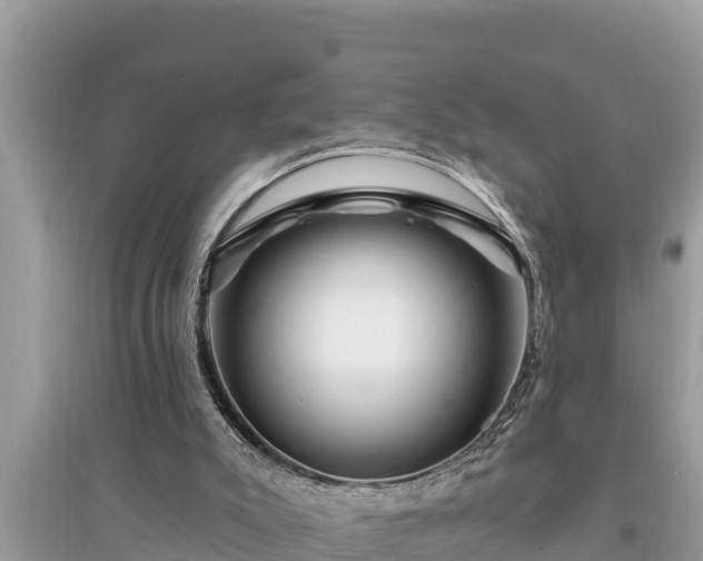 X0000095550007200712211420