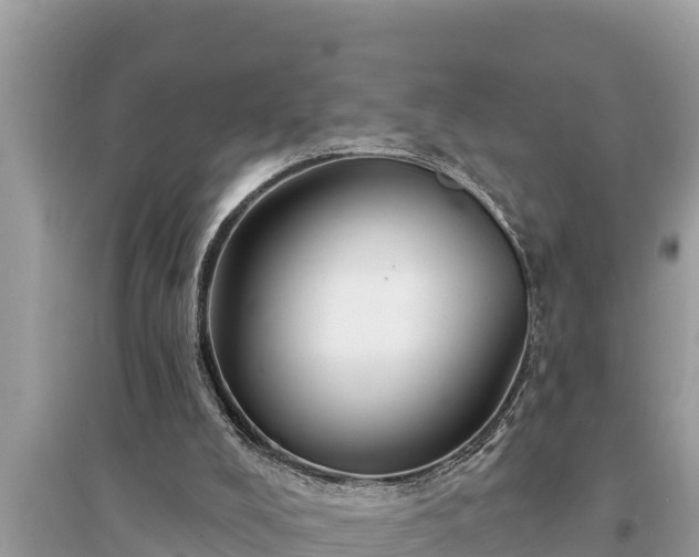 X0000095550008200712211419