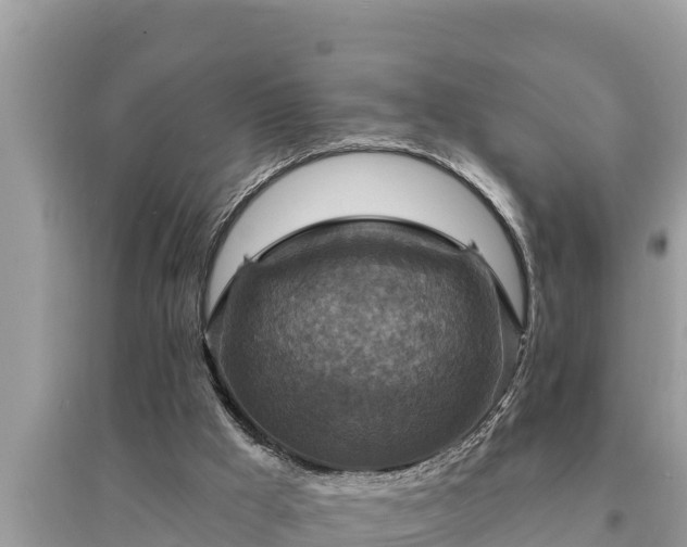 X0000095550009200712211419