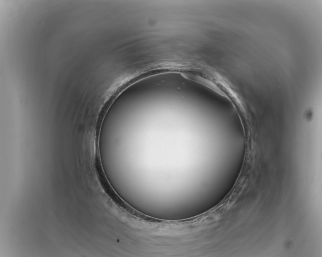 X0000095550011200712211419