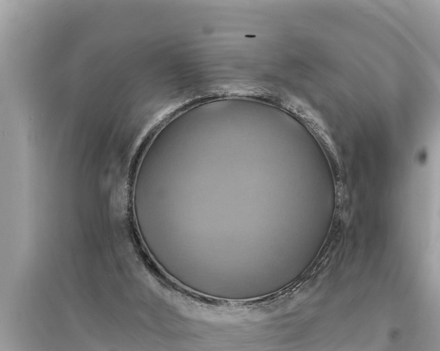 X0000095550012200712211419