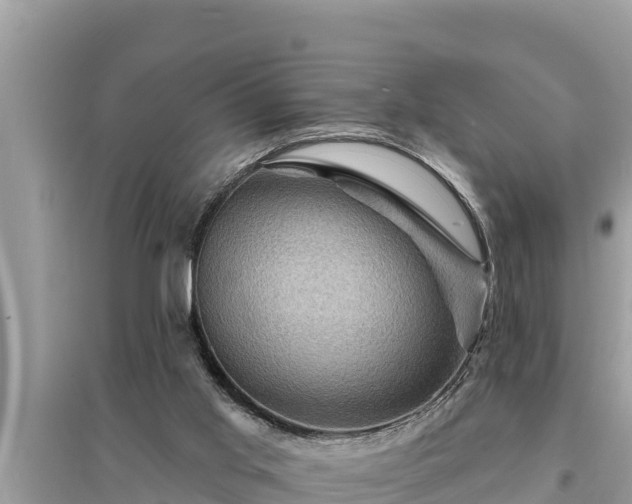 X0000095550013200712211419