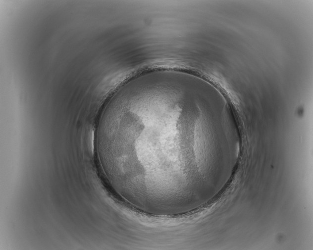 X0000095550014200712211419