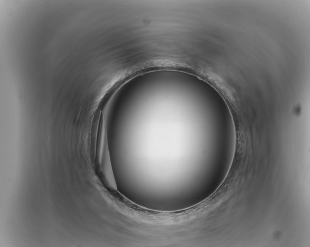 X0000095550015200712211419