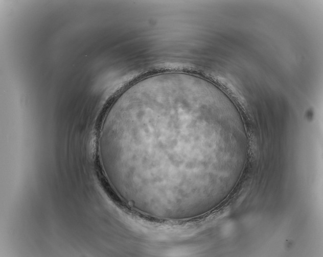 X0000095550016200712211419