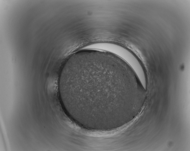 X0000095550017200712211419