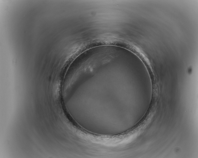 X0000095550018200712211419