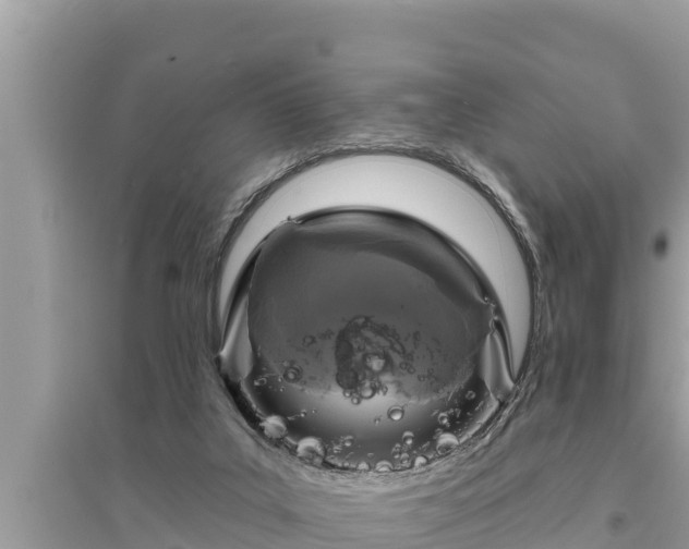 X0000095550019200712211419