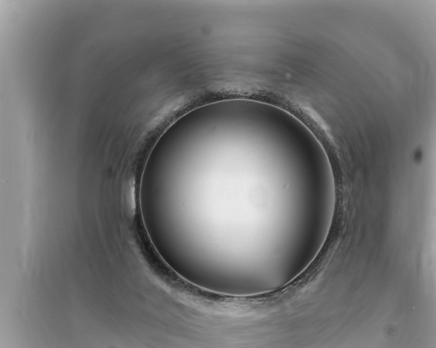 X0000095550020200712211419