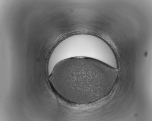 X0000095550021200712211419