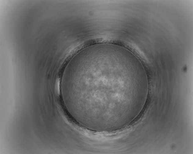 X0000095550022200712211419