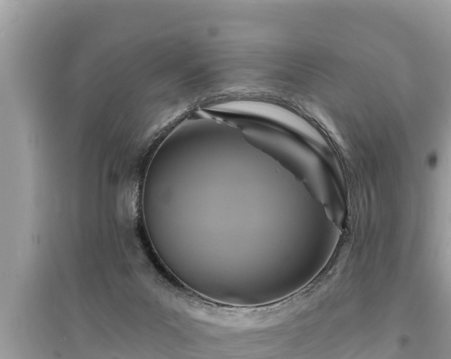 X0000095550023200712211419