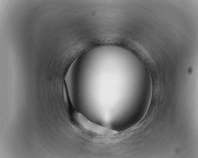 X0000095550025200712211419