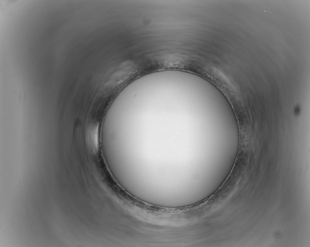 X0000095550028200712211419