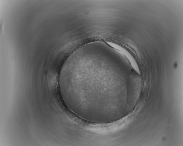 X0000095550029200712211419