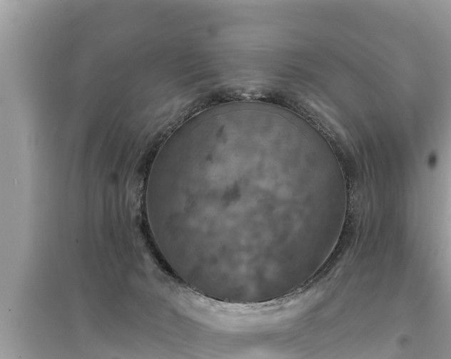 X0000095550030200712211419