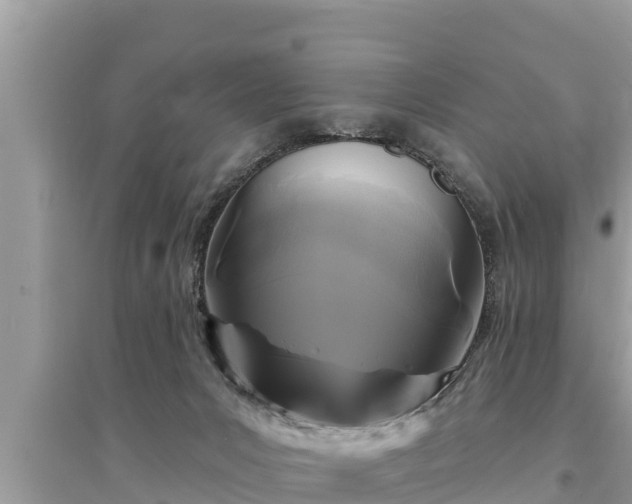 X0000095550031200712211419