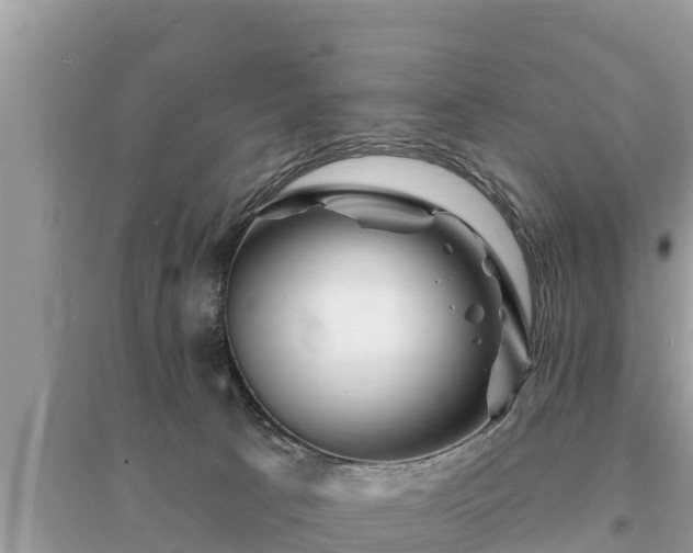 X0000095550033200712211419