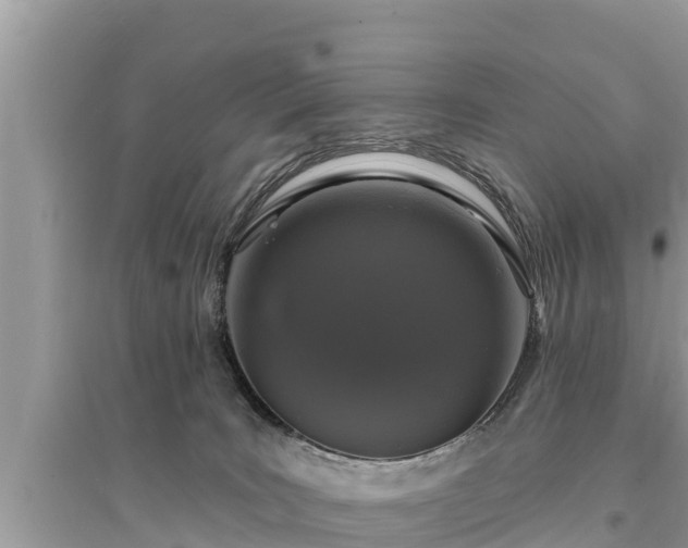 X0000095550035200712211419