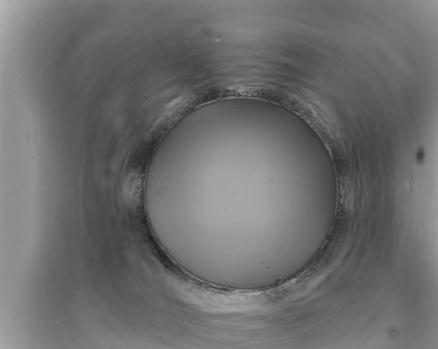 X0000095550036200712211419