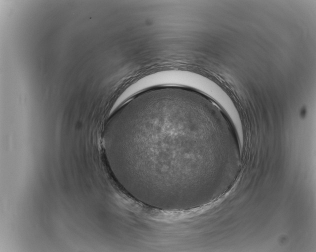 X0000095550037200712211419