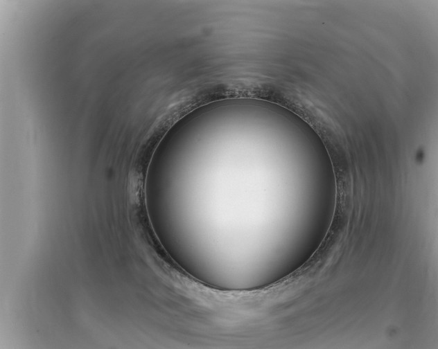 X0000095550038200712211419