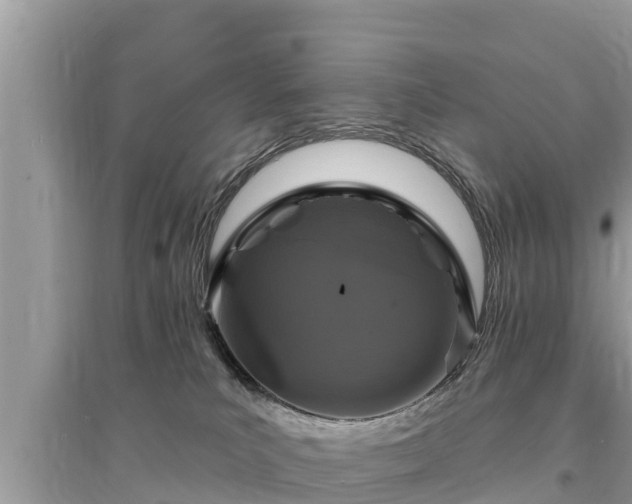 X0000095550039200712211419