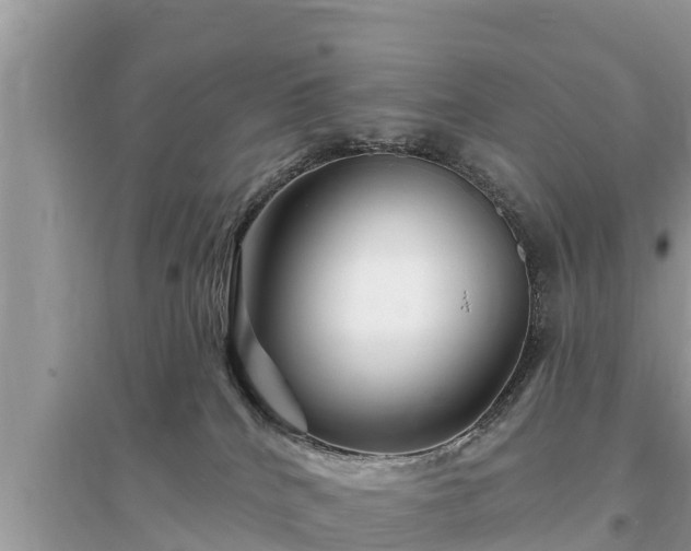 X0000095550040200712211419