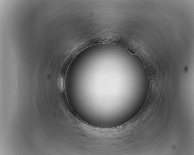 X0000095550042200712211419