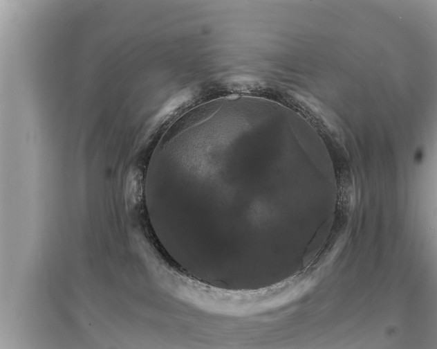 X0000095550043200712211419