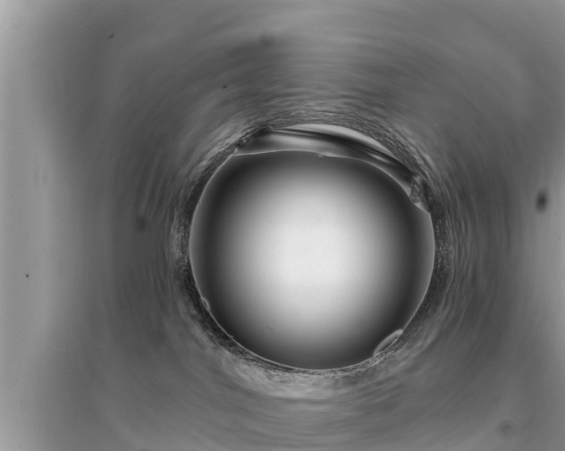 X0000095550044200712211419