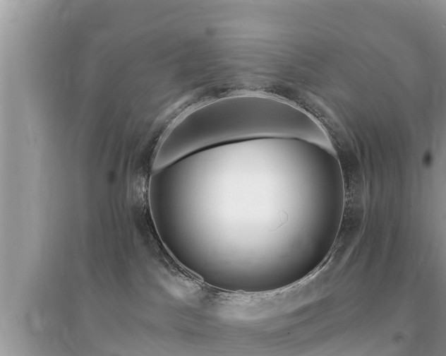 X0000095550045200712211419