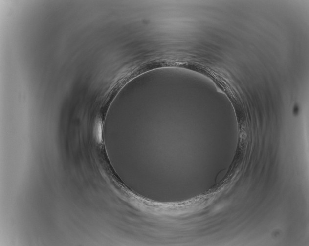 X0000095550046200712211419