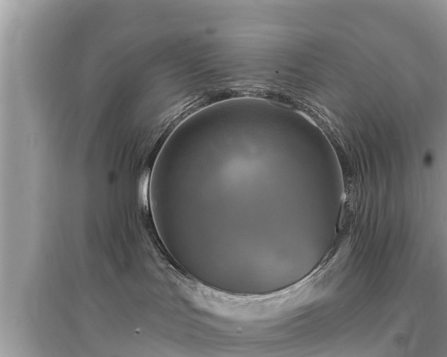 X0000095550047200712211419