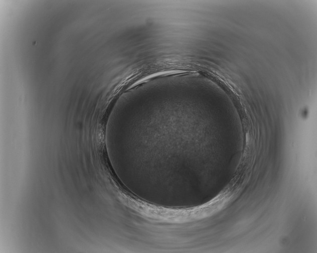 X0000095550048200712211419