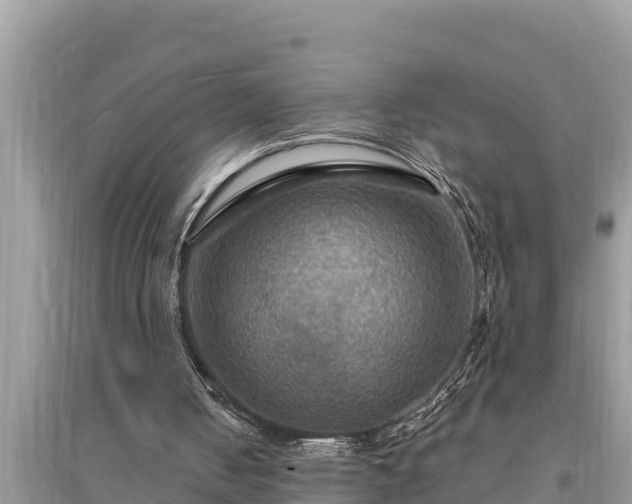 X0000095550050200712211418