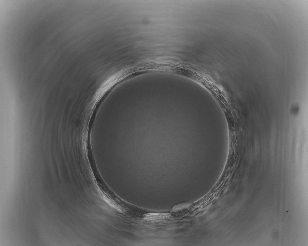 X0000095550051200712211418