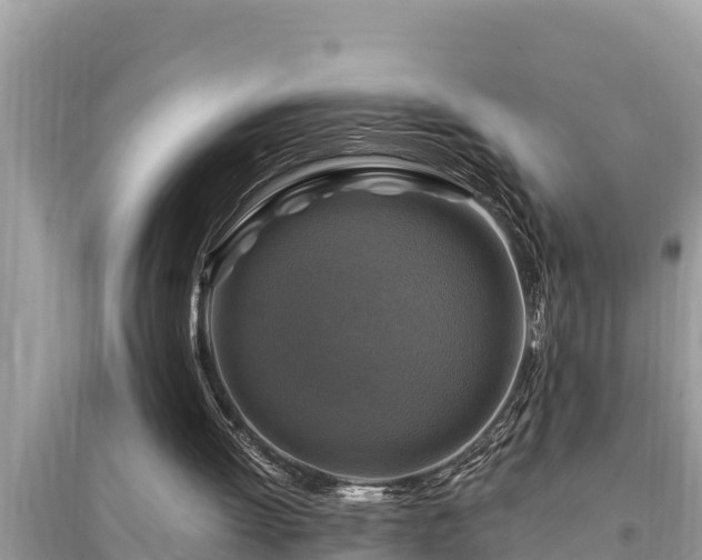 X0000095550052200712211418