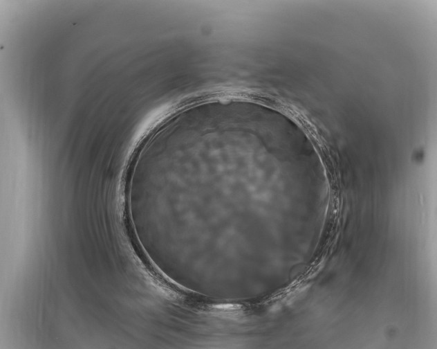 X0000095550053200712211418