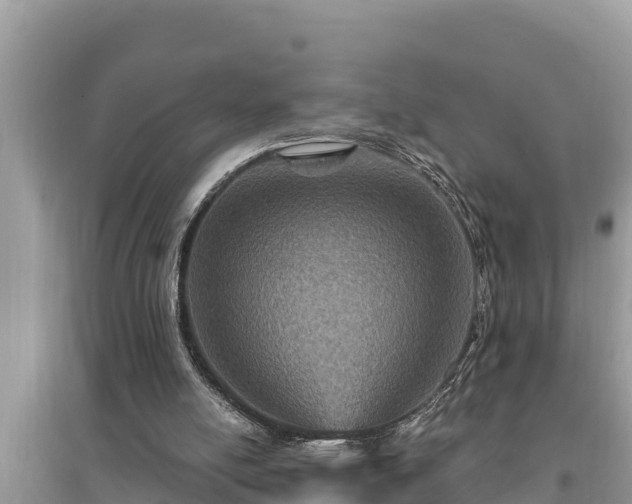 X0000095550054200712211418