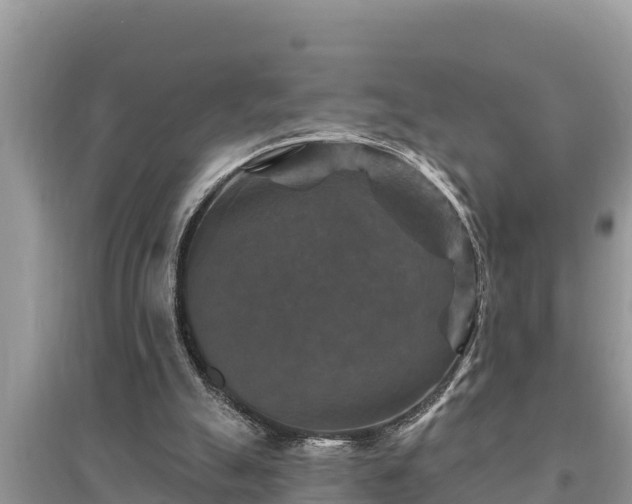 X0000095550055200712211418