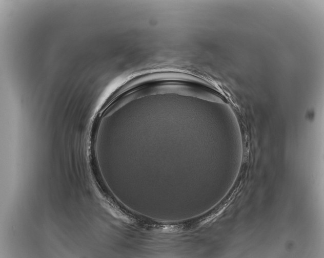 X0000095550056200712211418