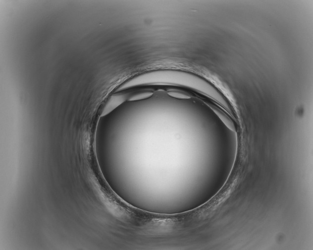 X0000095550057200712211418