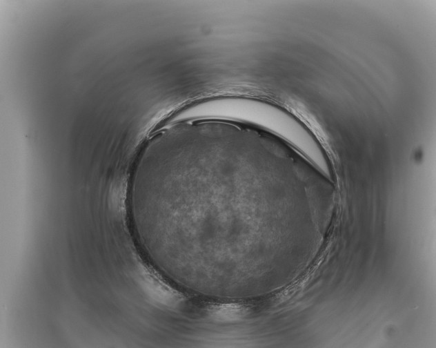 X0000095550058200712211418