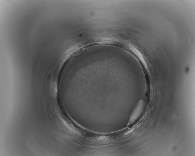 X0000095550059200712211418