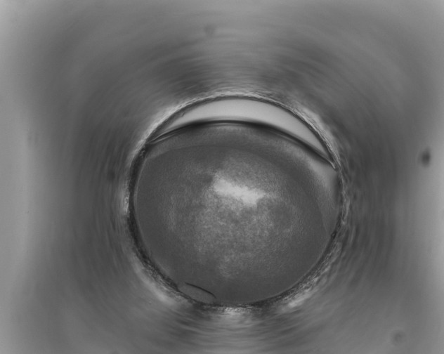 X0000095550060200712211418