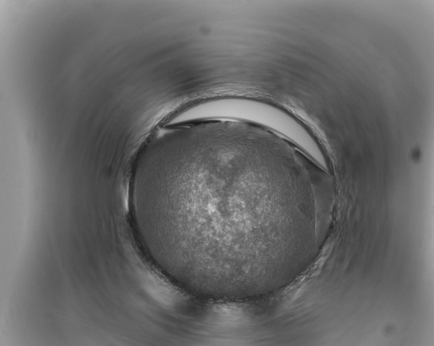 X0000095550062200712211418