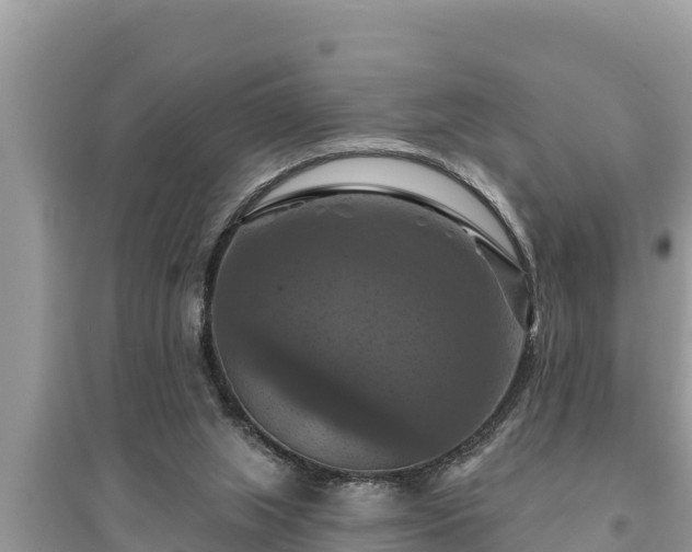 X0000095550063200712211418